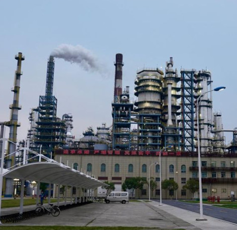 项目名称：新疆新星惠尔绿色科技有限公司 采购标的物：平衡式比例混合装置