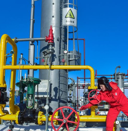 项目名称：中国石油大庆油田有限责任公司天然气分公司 采购标的物：平衡式比例混合装置